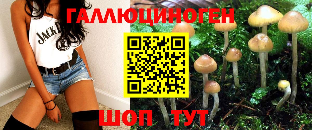 Галлюциногенные грибы Magic Shrooms  Вход с VPN  Галлюциногенные грибы мухоморы  Вязники 